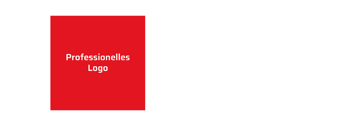  essentielle Punkte für ein professionelles Logo_1.png